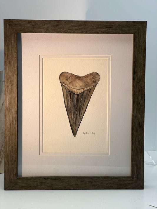 ‘Small Shark Tooth Original” by Cynthia Diehl