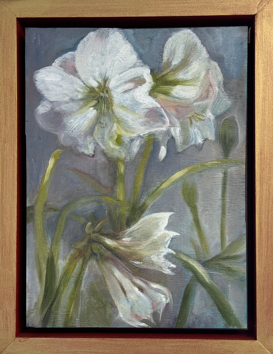 “Amaryllis” by Garland Mattox