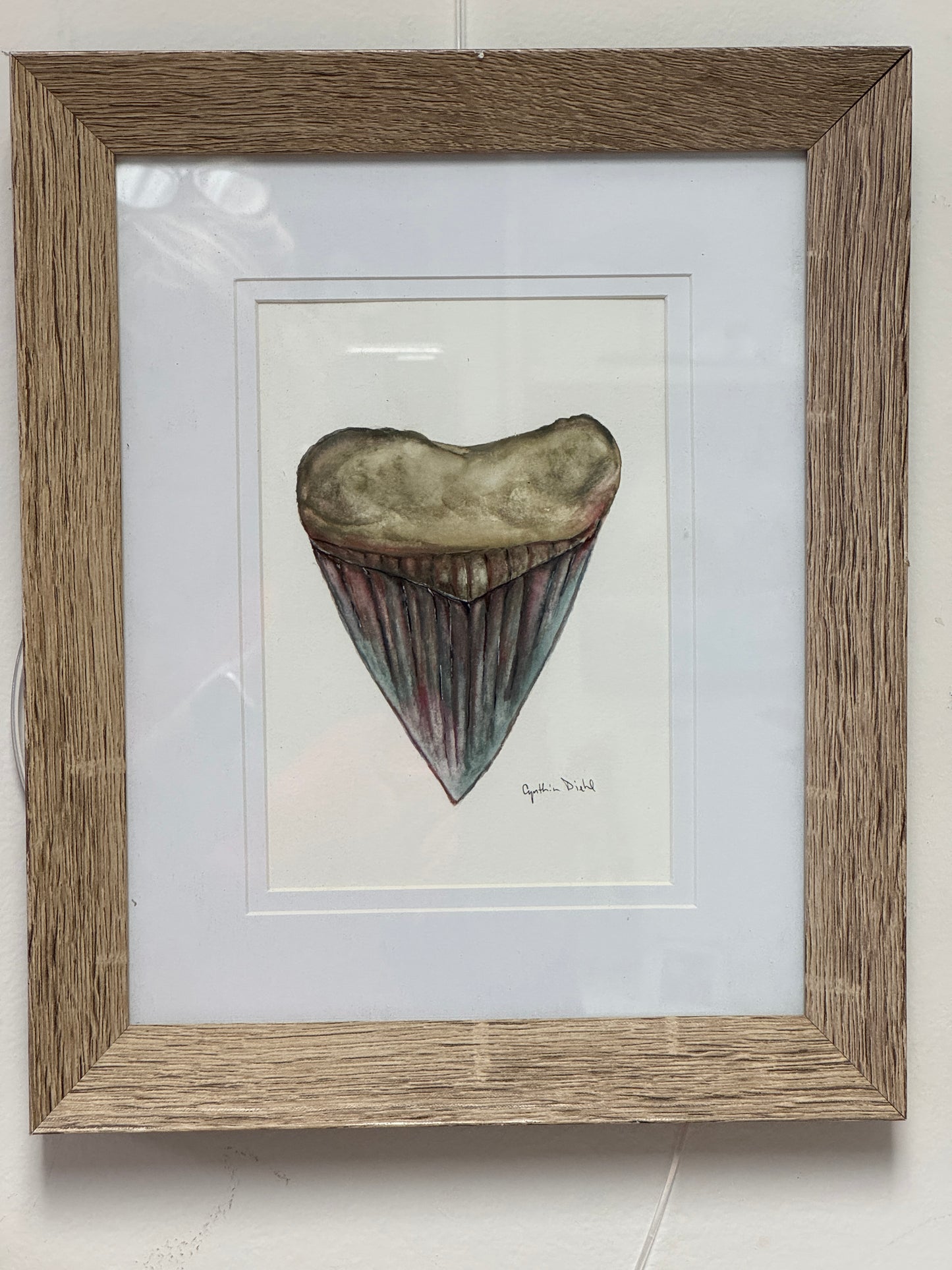 ‘Small Shark Tooth Original” by Cynthia Diehl