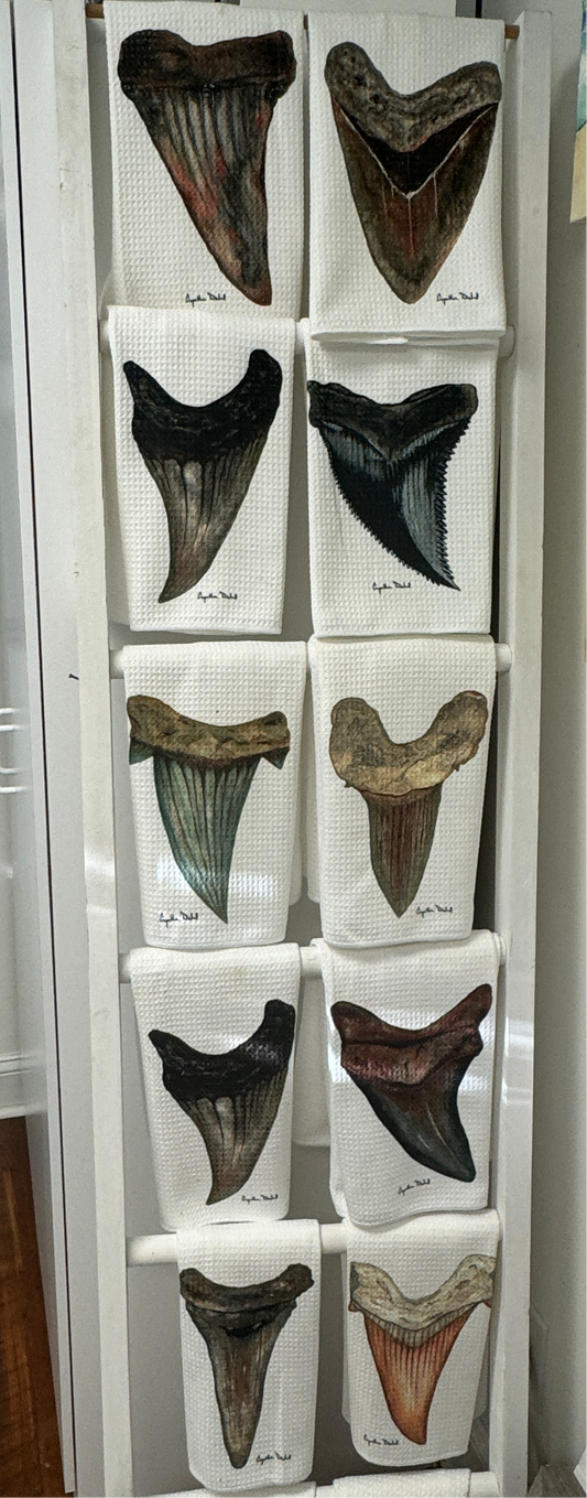 Shark Tooth Towels by Cynthia Diehl