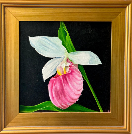 “Lady Slipper” by Brook Penick