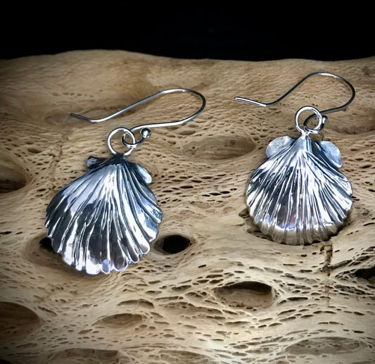 Scallop Shell Earrings