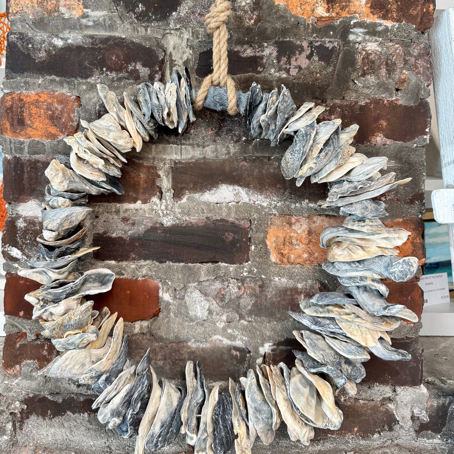 Large Oyster Wreath by Allyson Gray Edwards