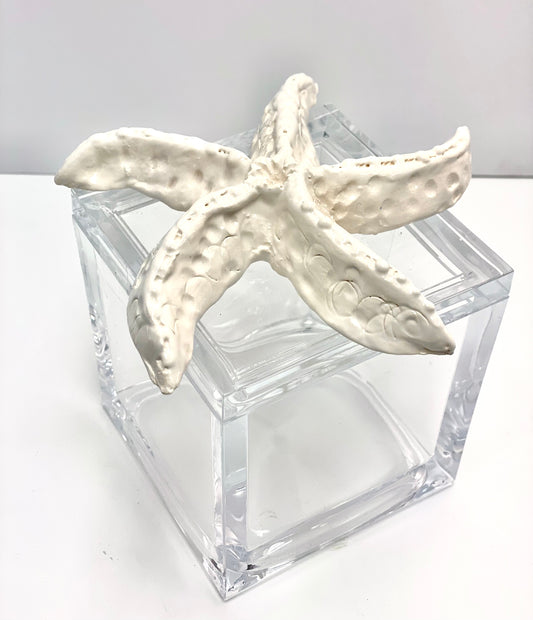 Starfish Lucite Box by Gail Williams