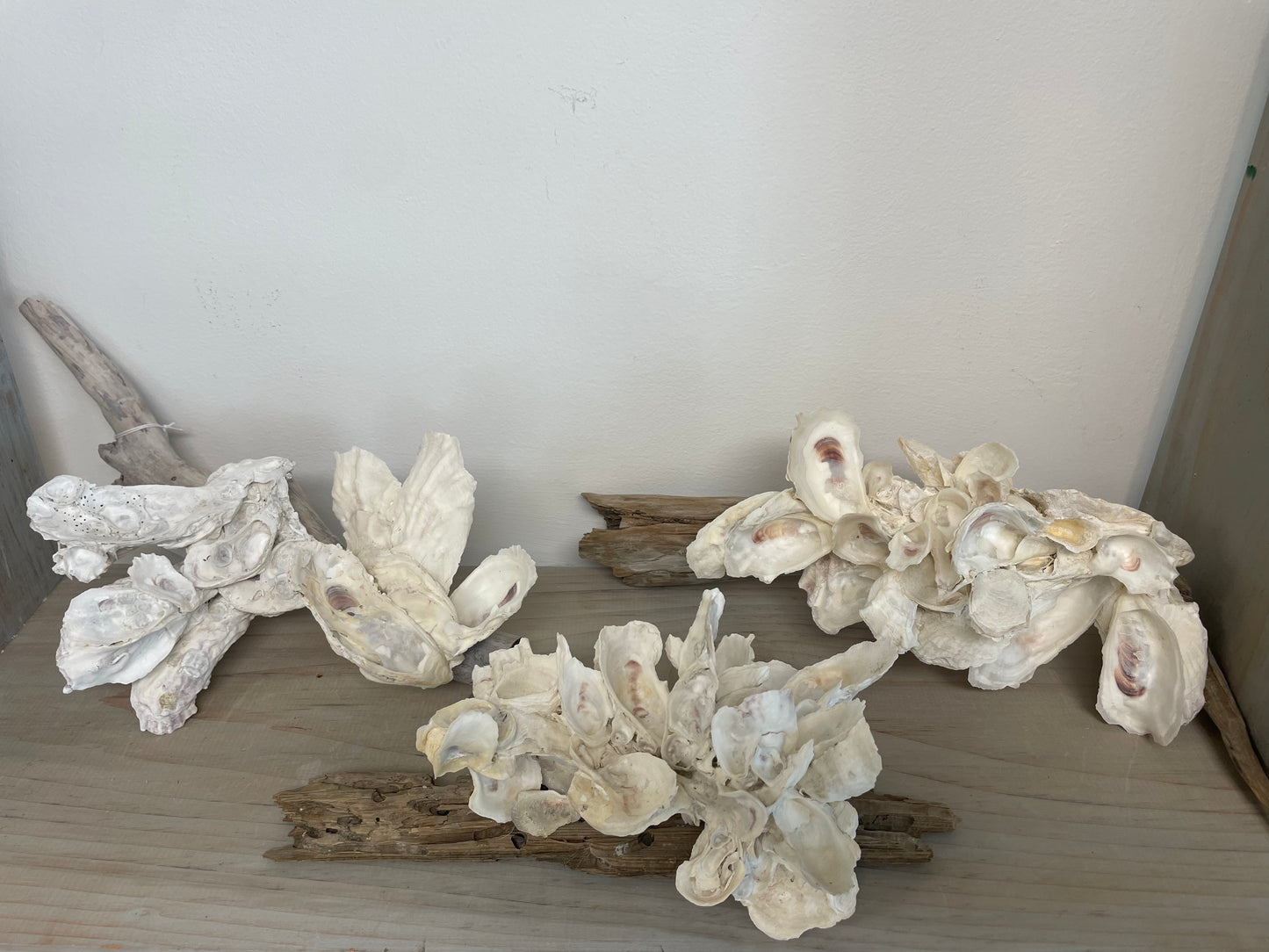 Oyster and Driftwood Sculpture by Sydnor Greene