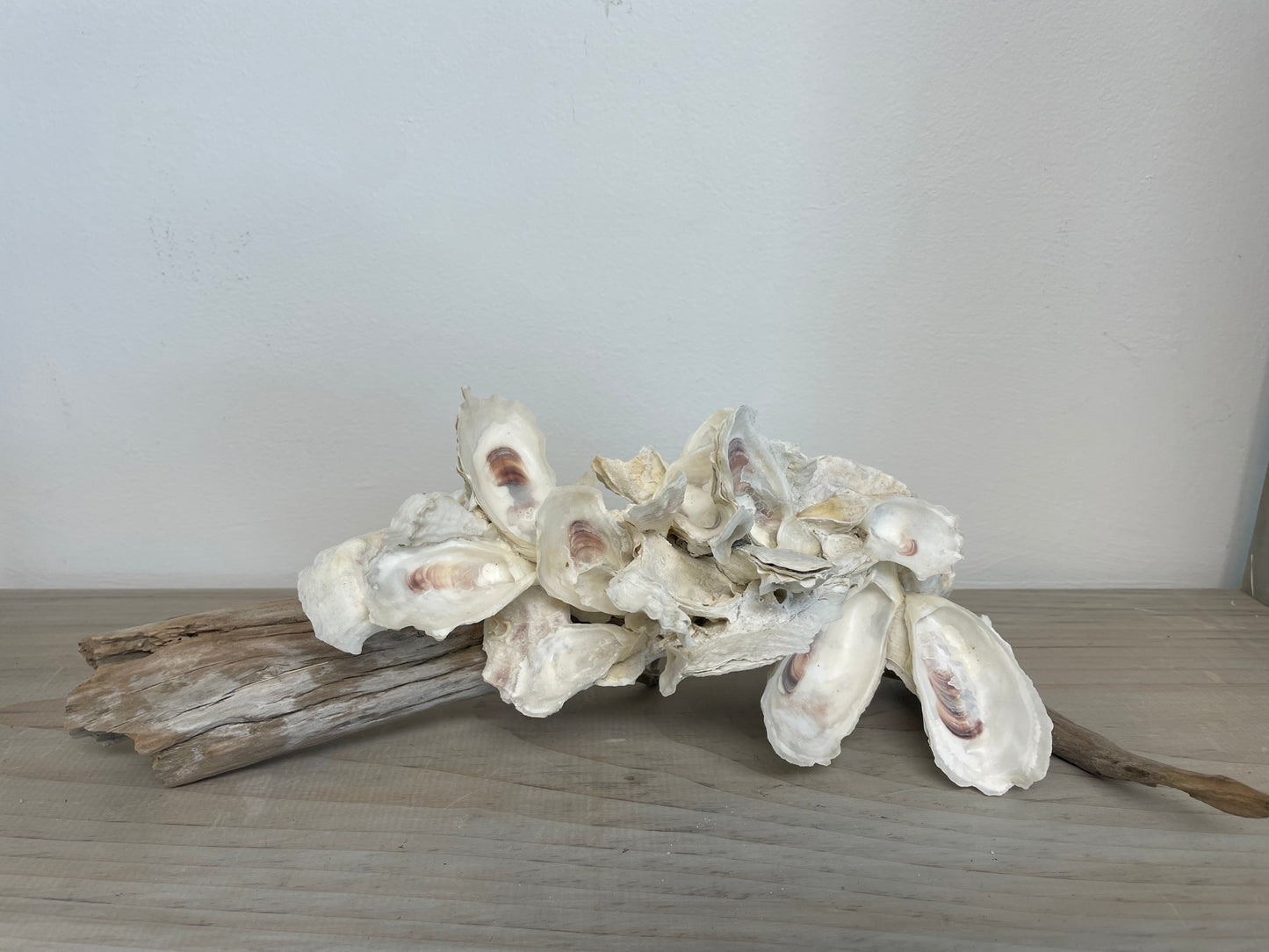 Oyster and Driftwood Sculpture by Sydnor Greene