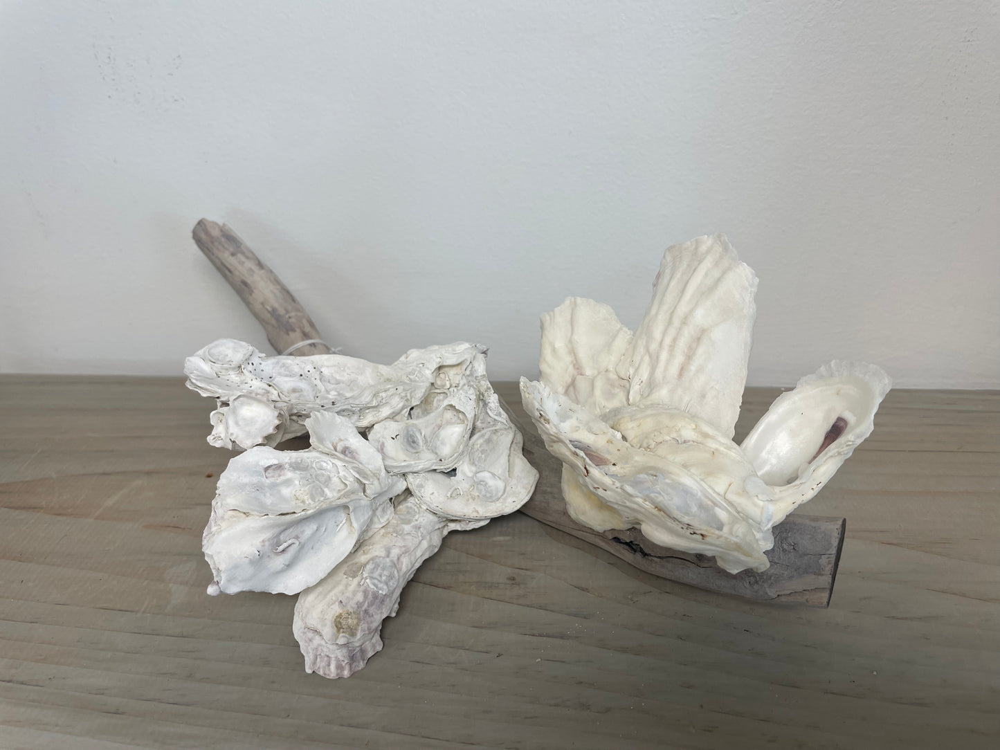 Oyster and Driftwood Sculpture by Sydnor Greene