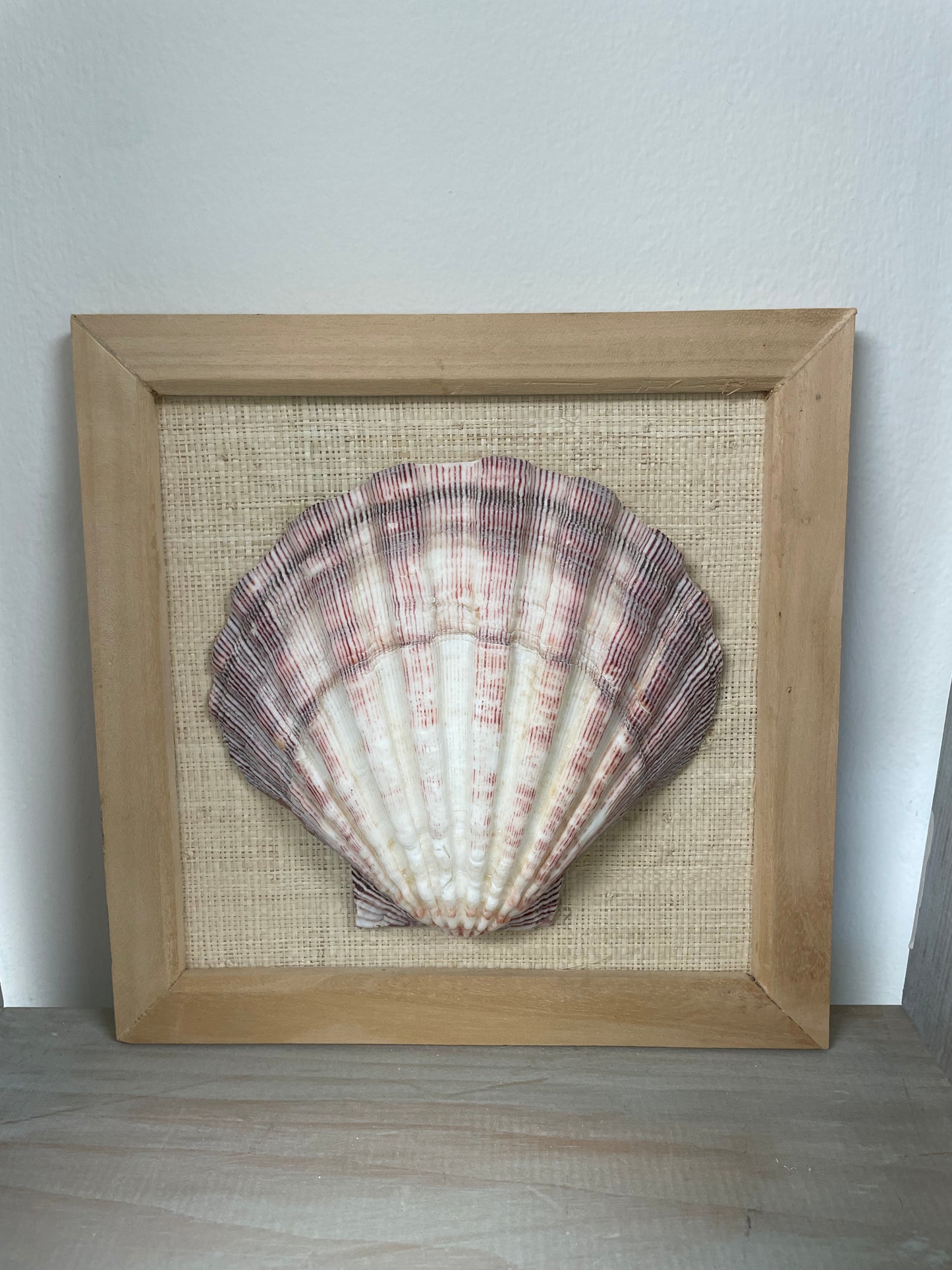 Scalloped Shell by Sydnor Greene