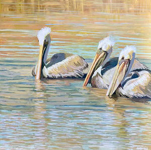 “Pelicans” by Stephen Moore