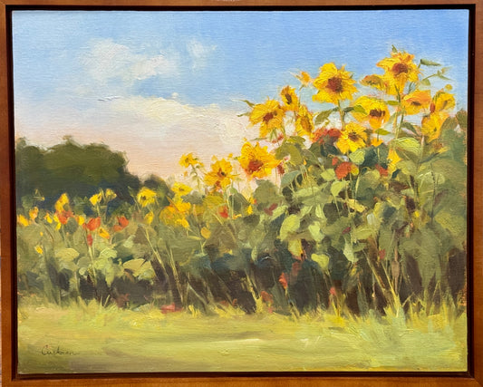 “Summers Gold” by Audrey Cushman