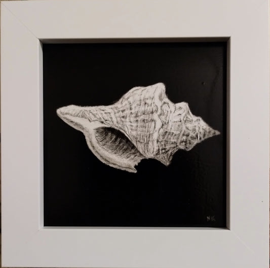 “Conch Shell” by Norlina Kelly